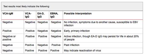 elisa test ebv|ebv lab test interpretation.